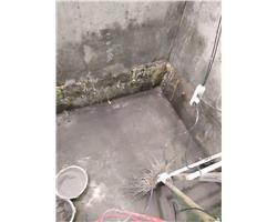 专业屋面防水，混泥土高压注浆及疑难防水堵漏